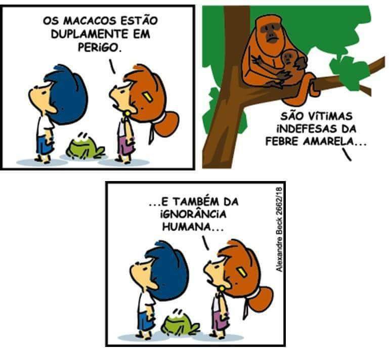 Blog do Mario O macaco não tem culpa!