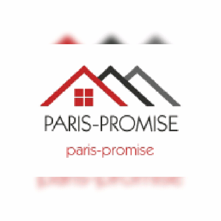 PARIS PROMISE
