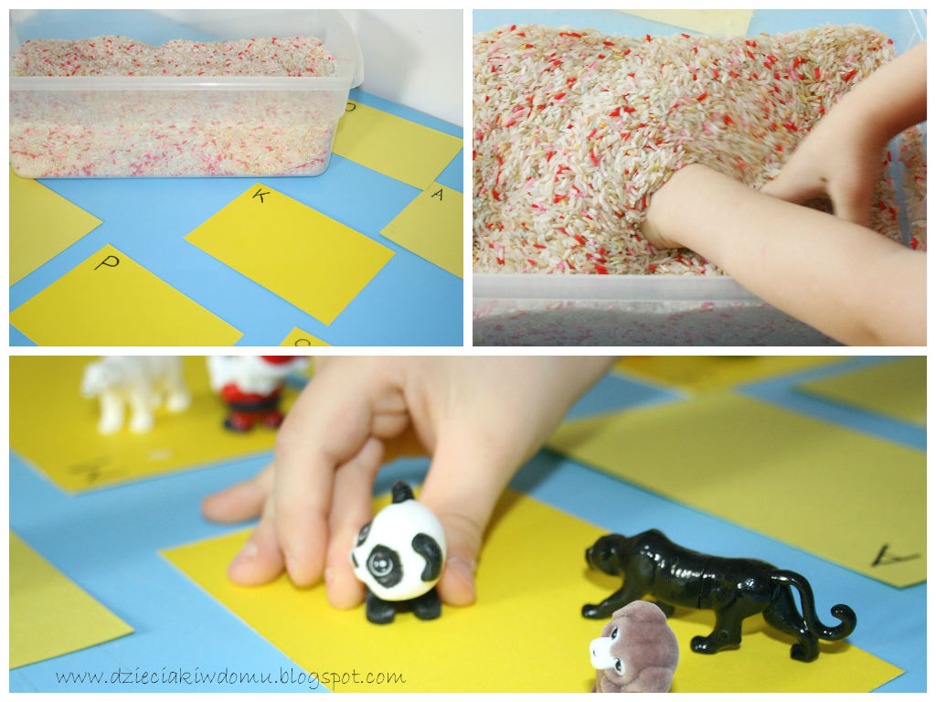 Szukanie przedmiotów w ryżu - kreatywna zabawa dla dzieci stymulująca sensorycznie