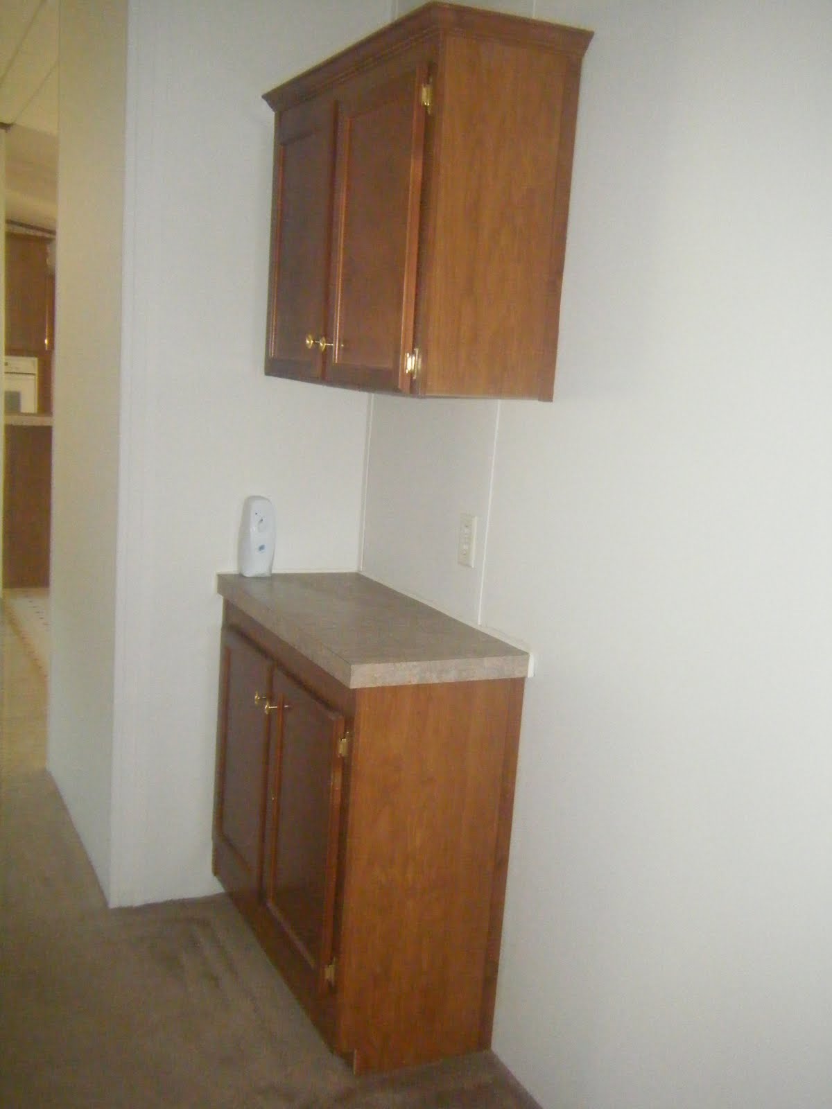 williams.mobile.home