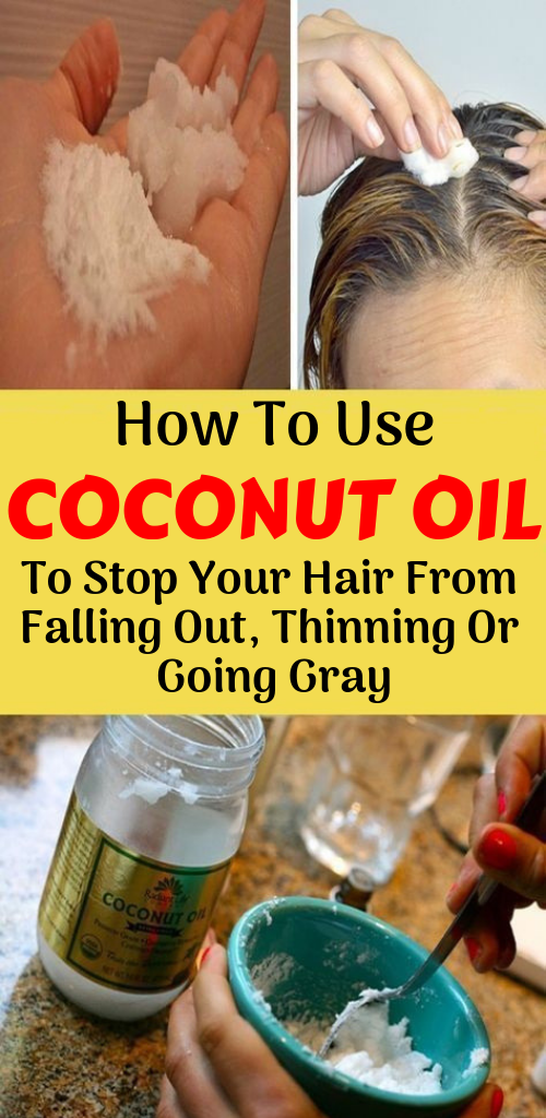 Let Start Slim Today How To Use Coconut Oil To Stop Your Hair From