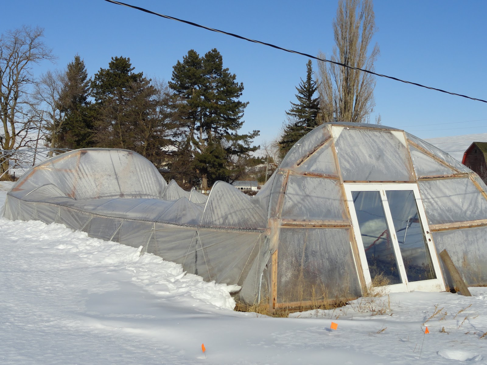 foamposite house of hoops
