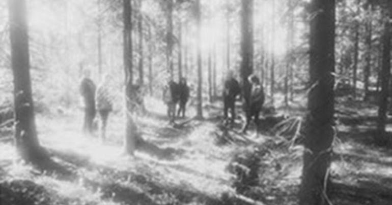 Night in the woods на аву. Strange in the woods. Night in the woods мэй и би. Strange in the woods. Strange in the woods.