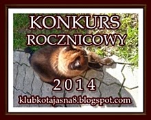 http://klubkotajasna8.blogspot.com/2014/06/konkurs-rocznicowy-2014.html#more