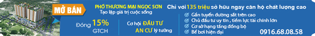 http://nhahanoi.vn/du-an/pho-thuong-mai-ngoc-son.html