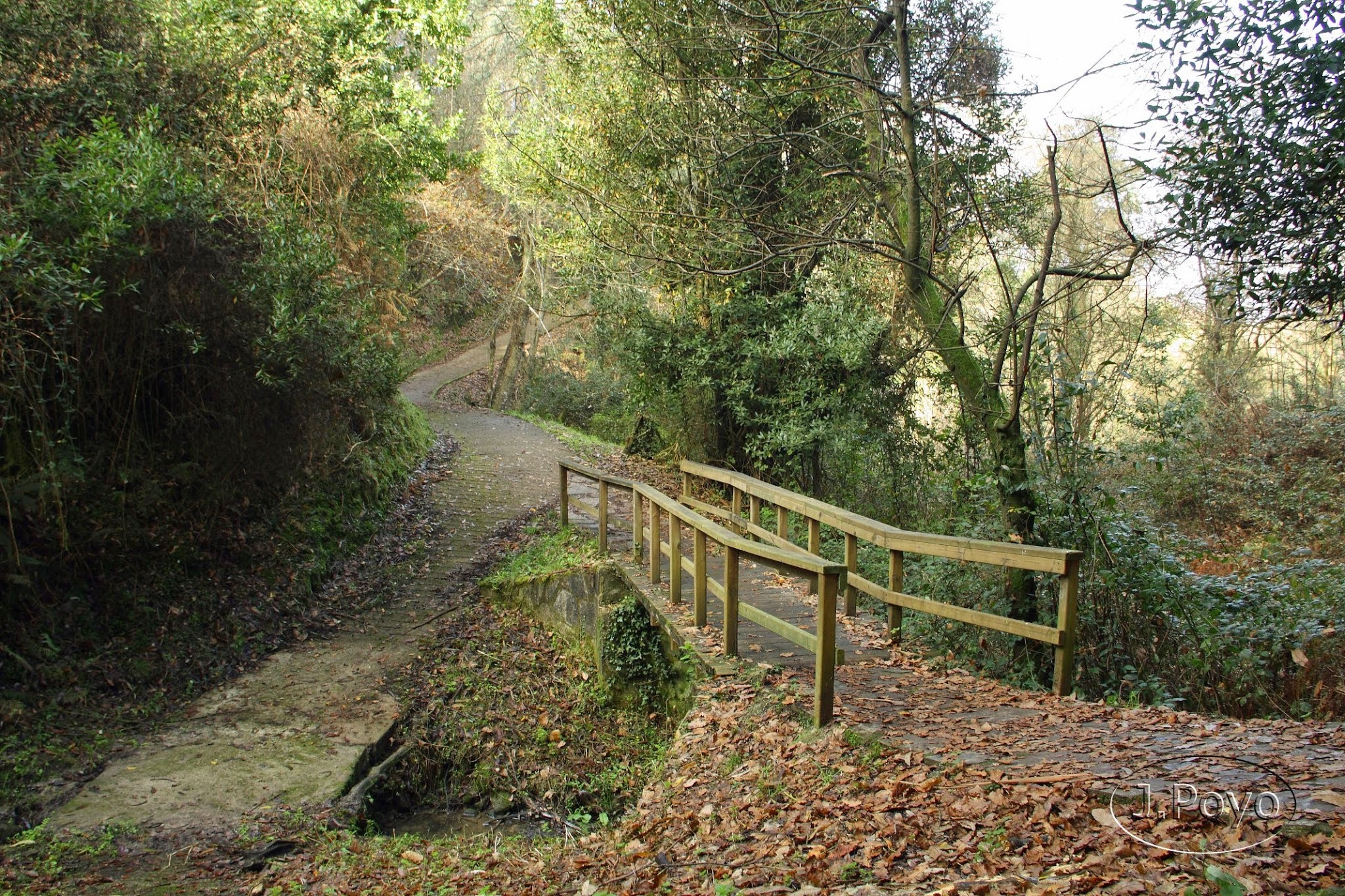 Senda Costera de Muros del Nalón