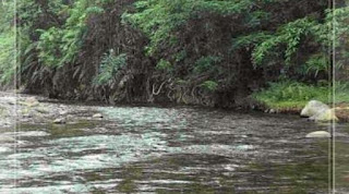 Mandi di Batang Air Sungai Limau Dapat Buang Sial Medianers