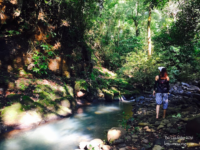 Con đường trekking đến suối Lưu Ly, rừng Bù Gia Mập