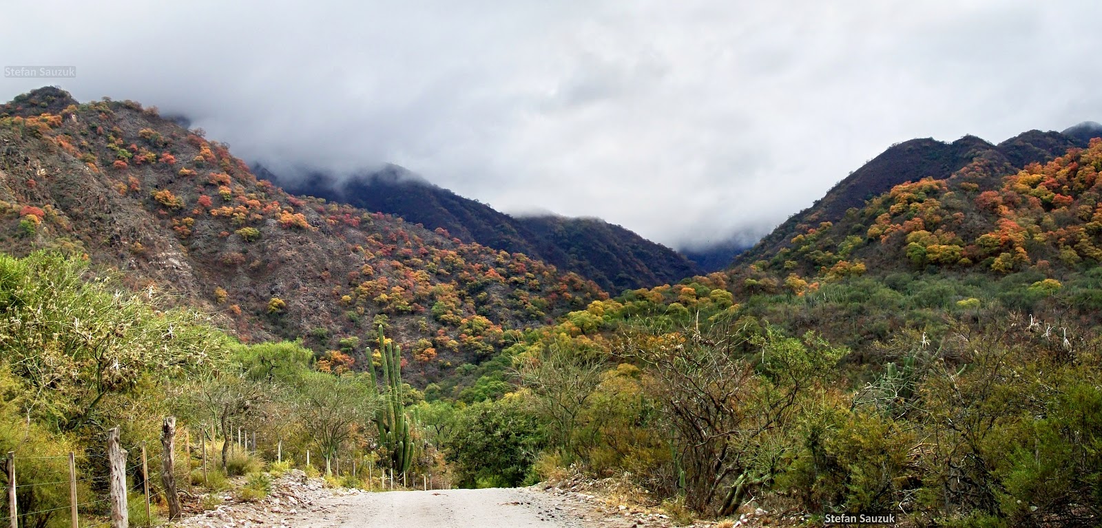 Fray Mamerto Esquiú, la joya de Catamarca
