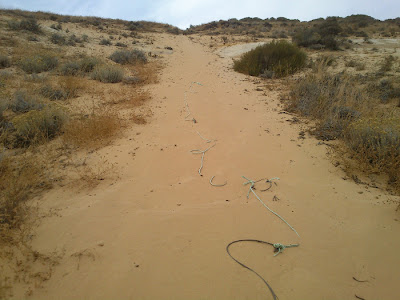 Cuerda suelta sobre la arena