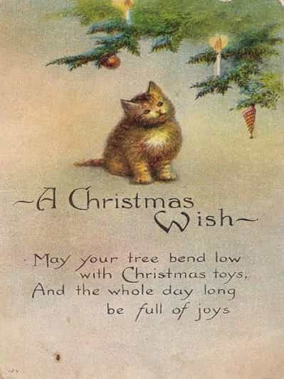Christmas cute card quotes wishes greeting quotesgram cards wishesquotes 51 Merry Christmas wishes and Merry Christmas messages