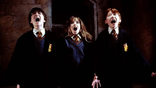 Harry Potter und der Stein der Weisen 2001 ansehen