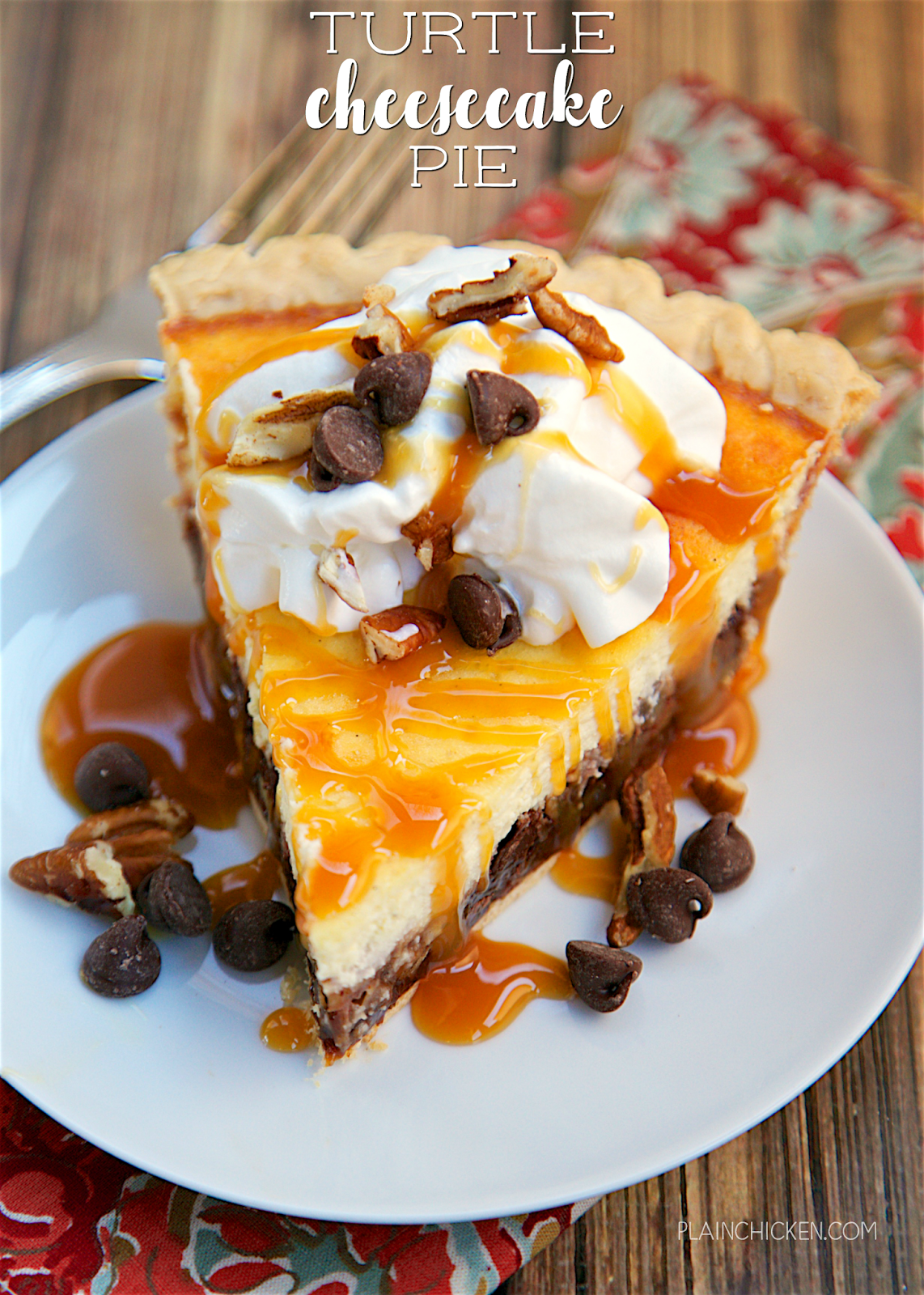 Turtle cheesecake pie plain chicken 