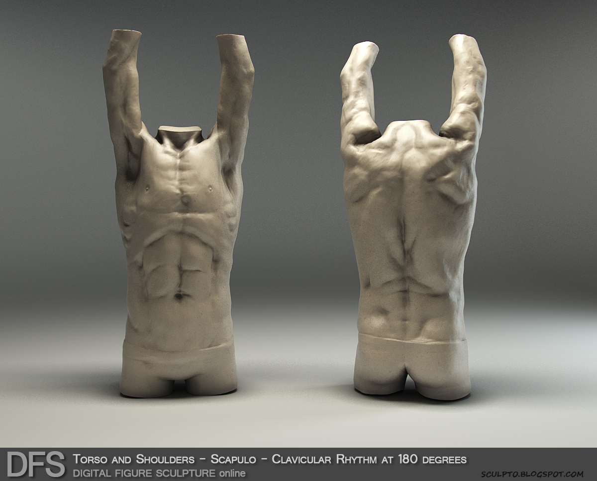 Tihomir Dimitrov: Digital Figure Sculpture online Workshop Anatomy Studies