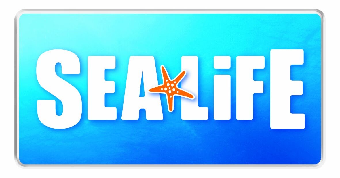 Zoo Jobs Displays Curator SEA LIFE Sydney Aquarium