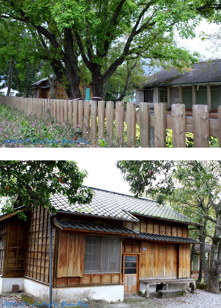 龍田國小|鹿野龍田移民村|台東鹿野景點