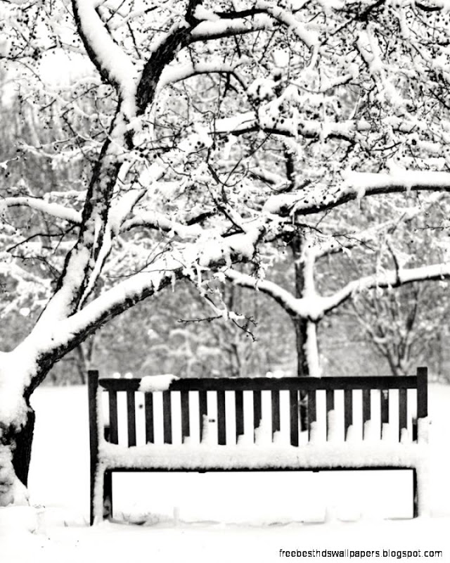 Snowy Bench 02 by StudioFovea on DeviantArt