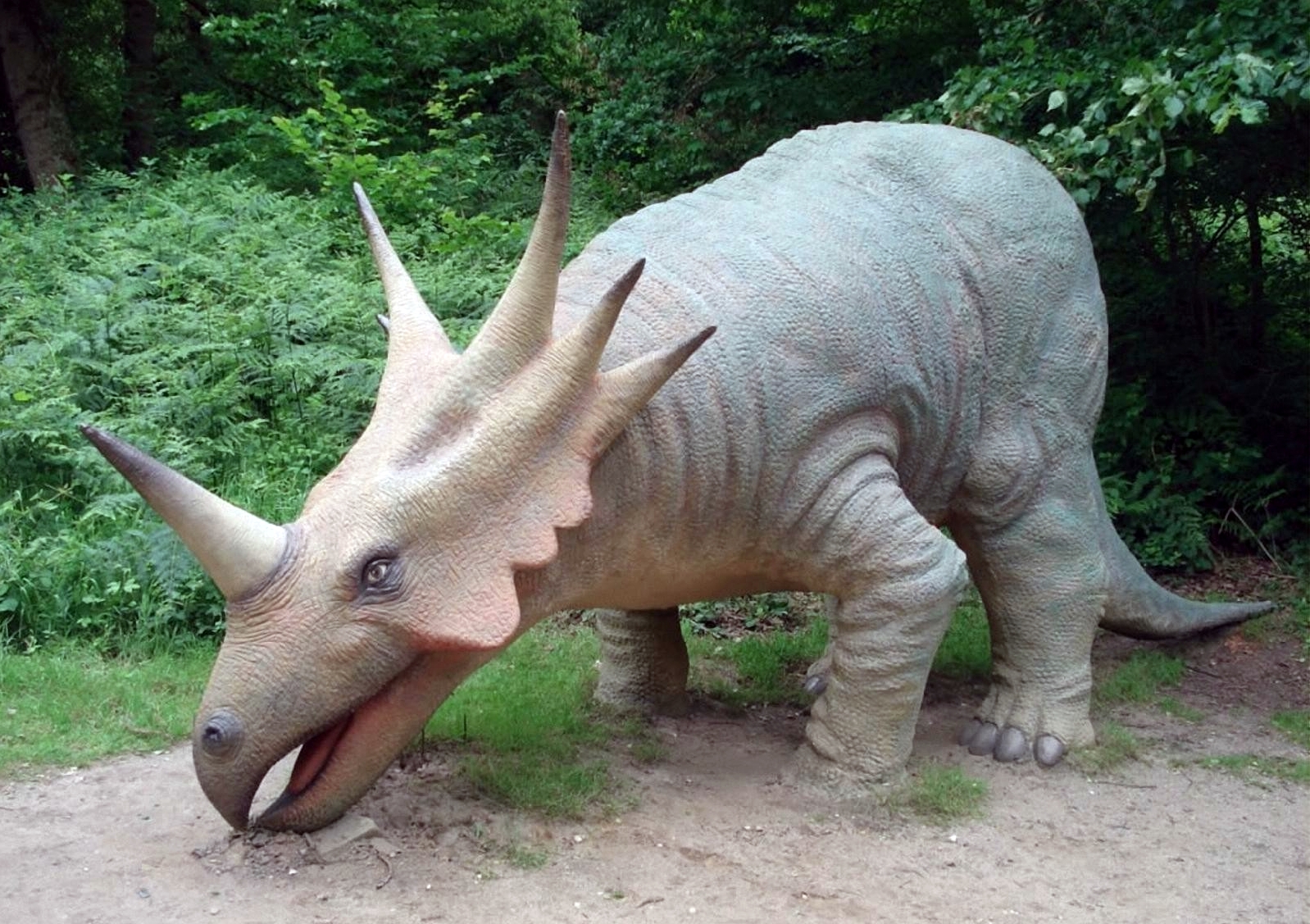 Dinosaurios animales prehistoricos Triceratops ( Cara de tres cuernos ) Dinosaurios animales prehistoricos Triceratops ( Cara de tres cuernos )