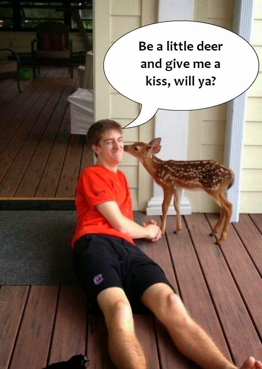 Chuck's Fun Page 2: Random funny images... (18 images)