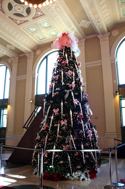 Dazzling tree in Rockford City Hall!