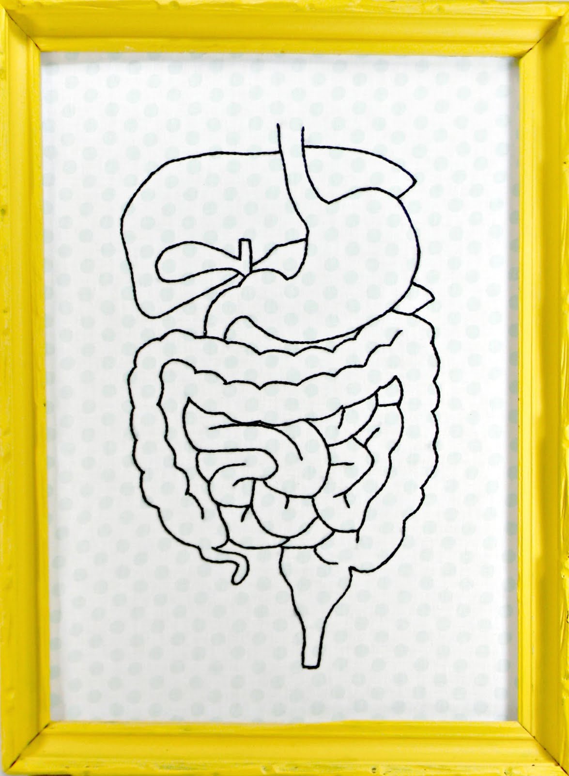 Sprouts Definition,Nutrients,Types,Benefits,How to make,How to eat