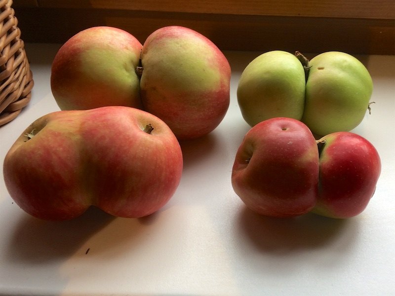 Meine Grune Wiese Erdbeerfest