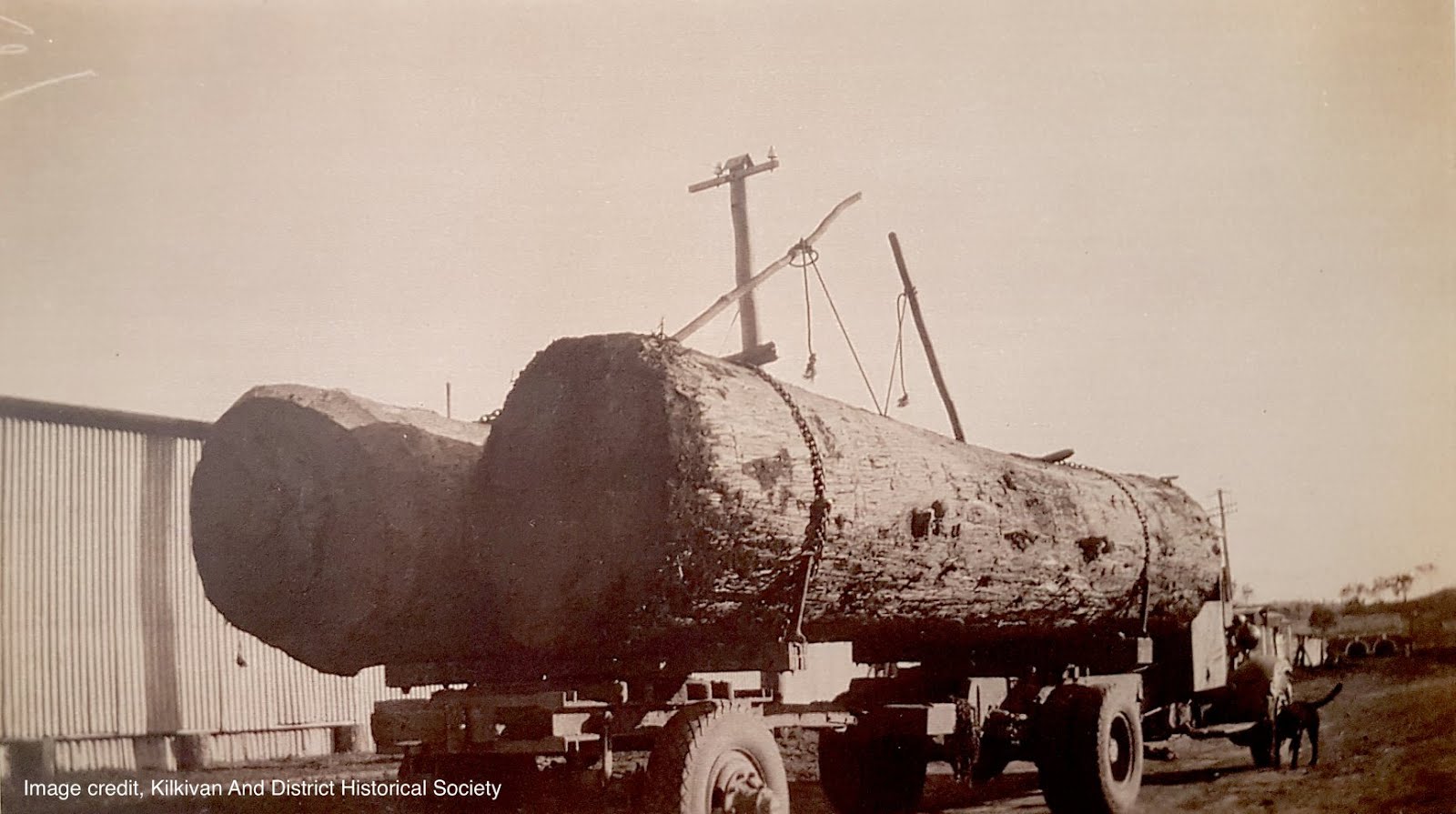 The History of Goomeri, Queensland Goomeri Railway Station and log