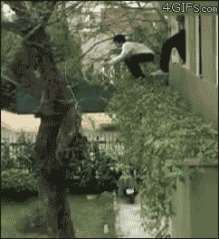Imagenes graciosas gifs y mujeres hermosas tachido.mx lawaloca