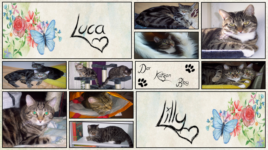 Lilly & Luca