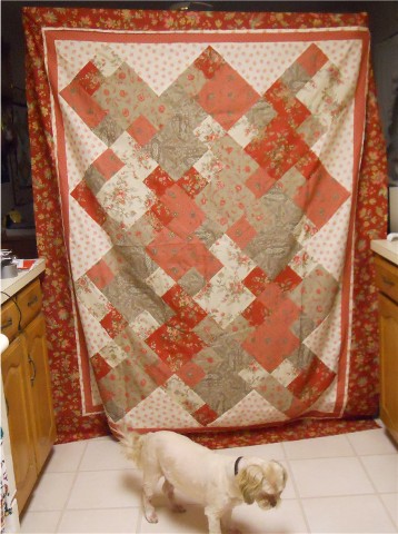 Quilter Jan: Take Five, On Point Quilt