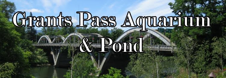 Grants Pass Oregon Aquarium & Pond