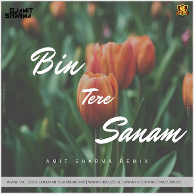 Bin Tere Sanam – Amit Sharma Remix