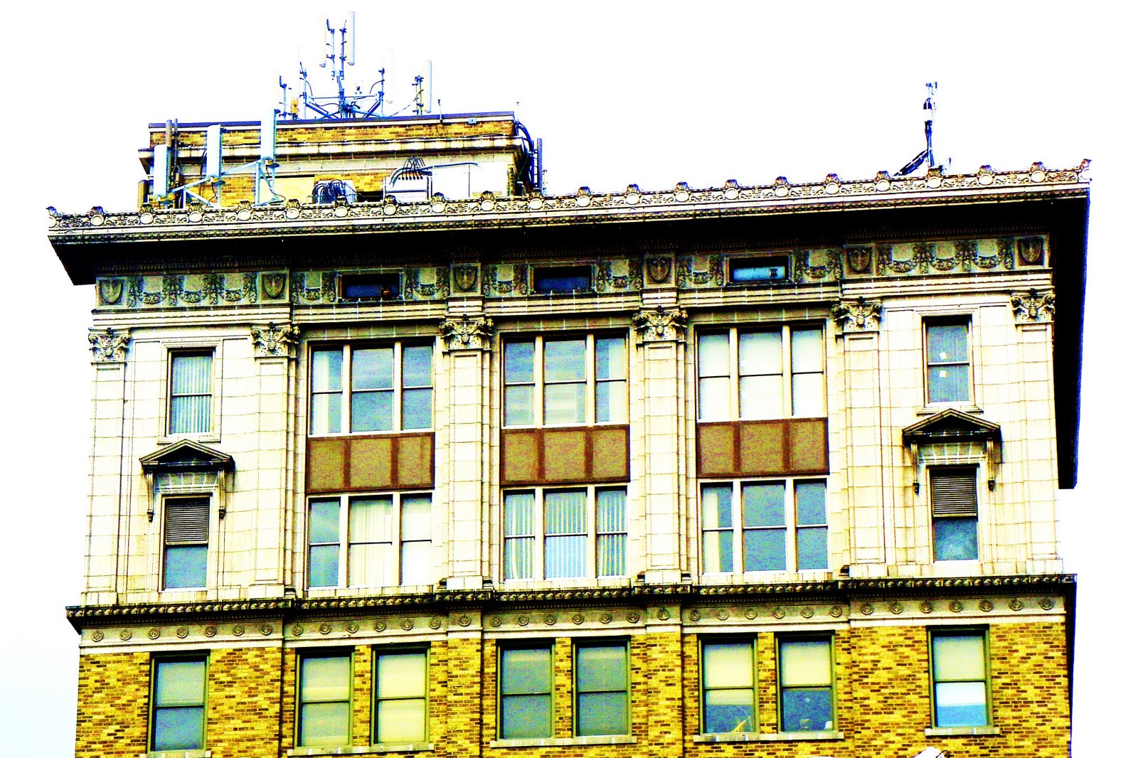 Picture This Fun Shots in Waterloo