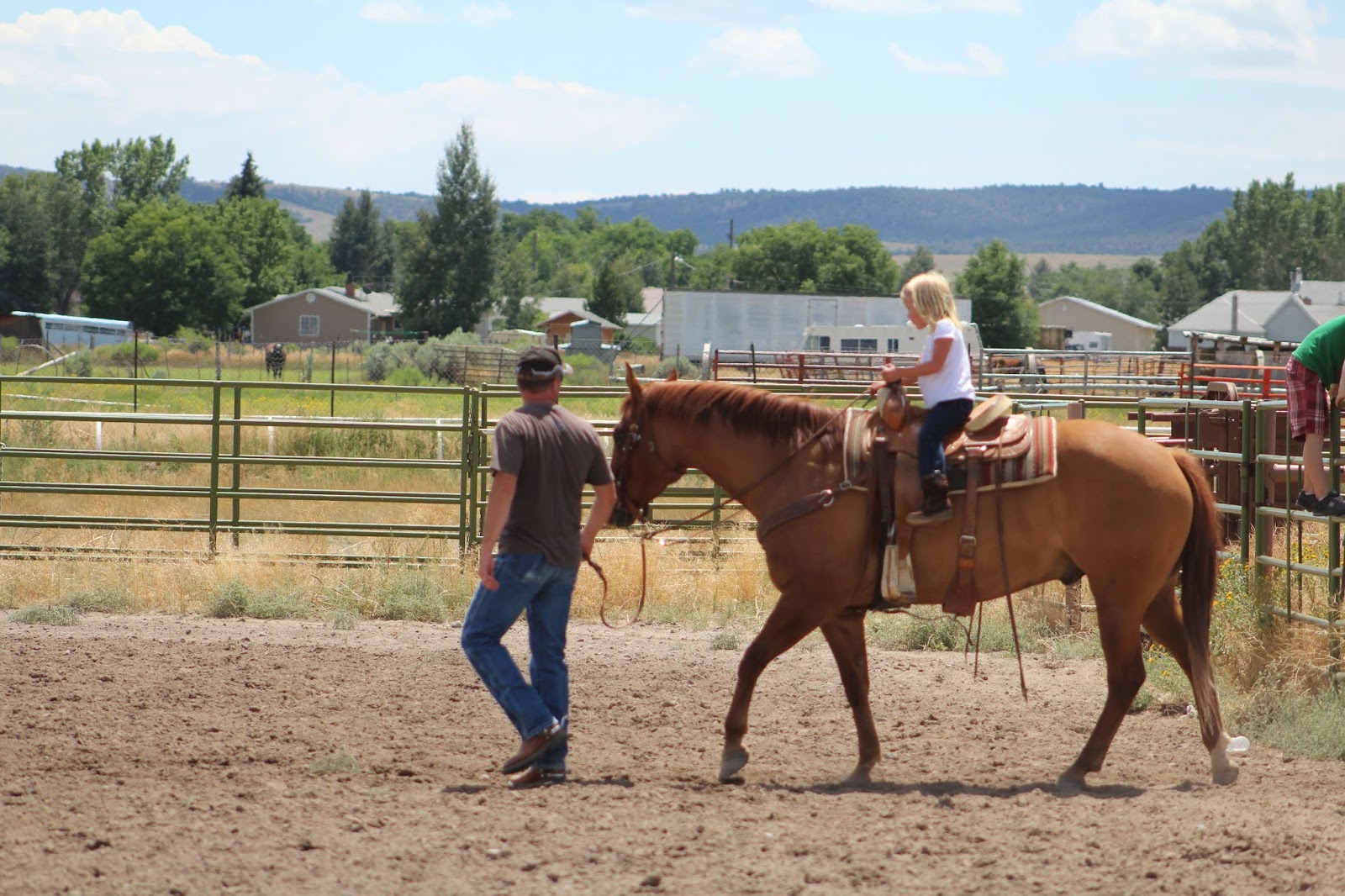 Finchtastic Horse Fun Day Garfield County Fair