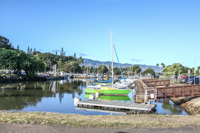 haleiwa,oahu,hawaii,north shore,city guide,visite privée,beach life