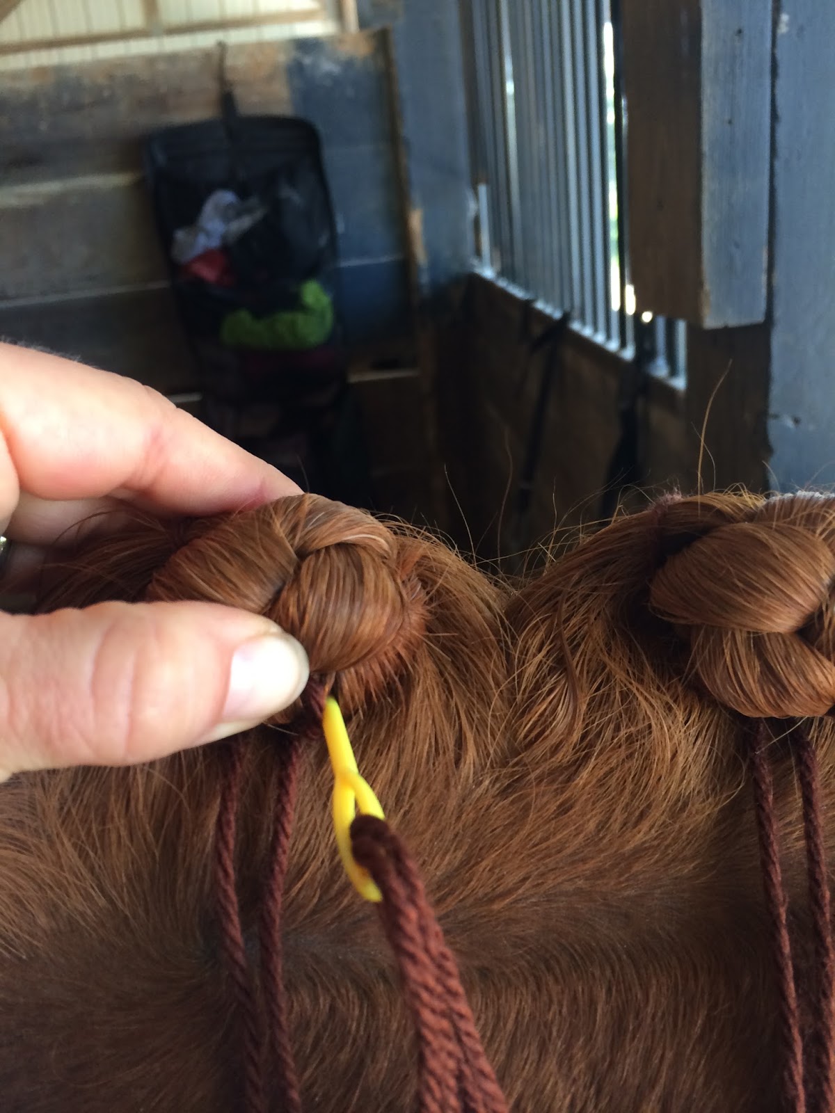 Fluffy Dutch Style Dressage Braids The Long Awaited Braiding Tutorial