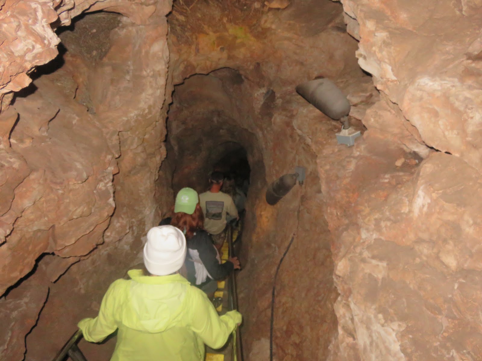 The ShoreXplorers Rare and Unique Wind Cave National Park, Hot Springs