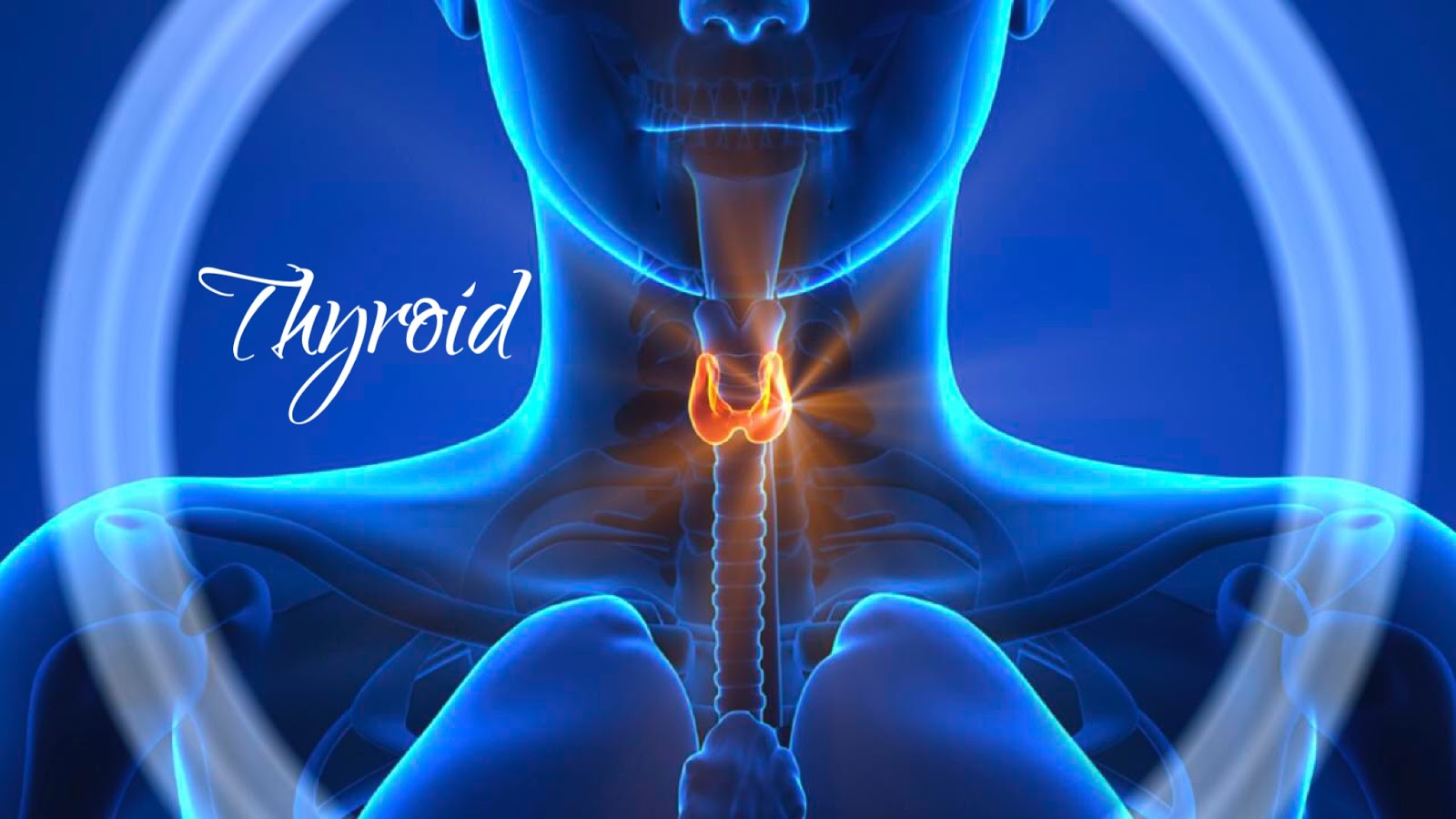 10 Signs You May Have A Thyroid Problem