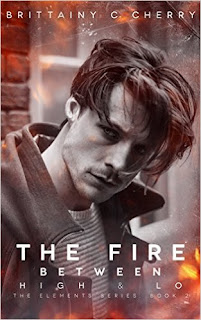 Review – The Fire Between High & Lo by Brittainy C. Cherry
