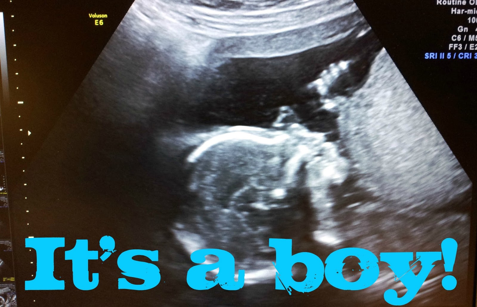 love jenny xoxo: Gender Reveal!!! Pregnancy Log - 19 weeks pregnant