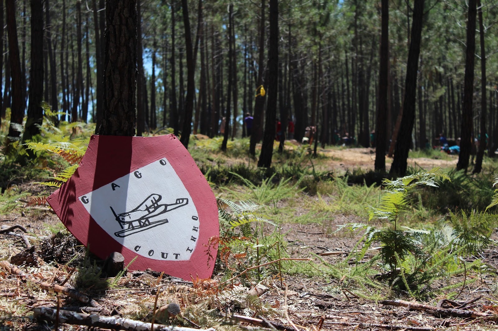 Scouts Summer Camp Leisurely Traipse