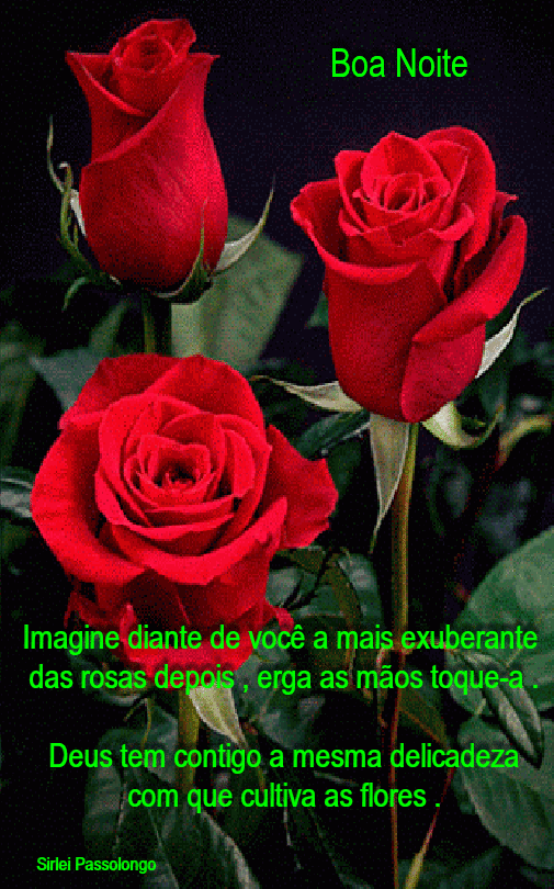 Boa_Noite%2B(1).gif