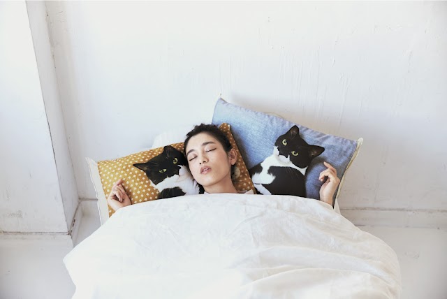 【貓奴大愛】日本網絡紅貓Gizmo枕頭套裝 人氣上市