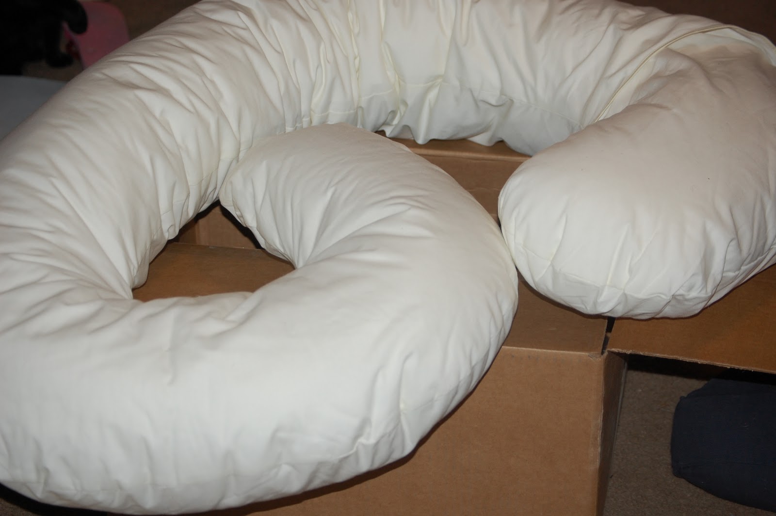 My Crazy Life Day 54 My Pregnancy Pillow