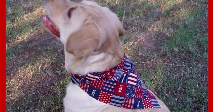 Patriotic Dog Bandanas, Collars, and Clothes