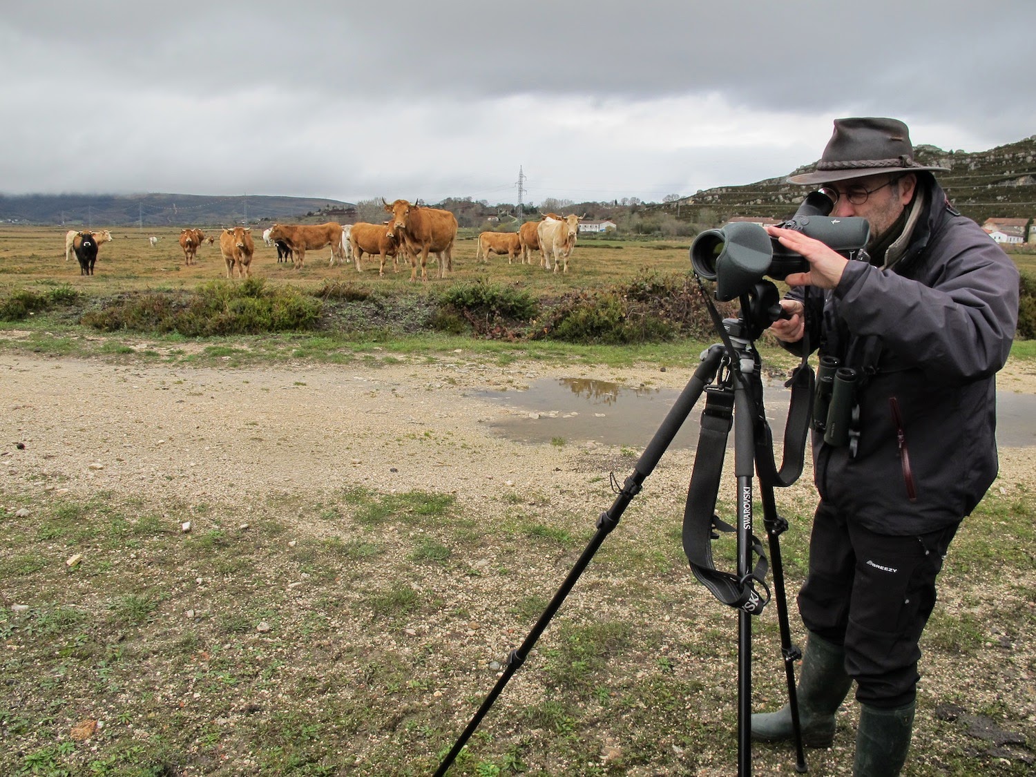 Embalse del Ebro. Diciembre
