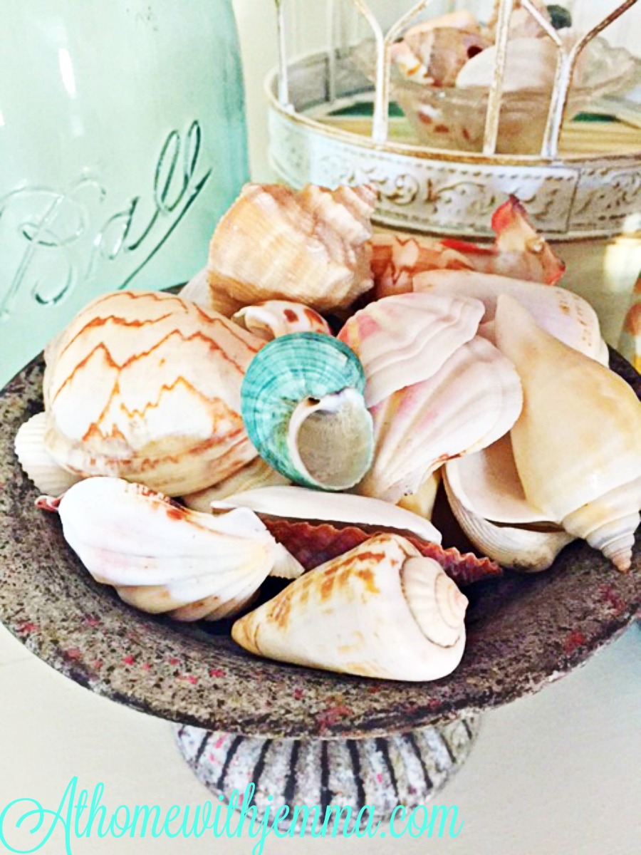 collect seashells, decorating with shells, adding shells to a vignette