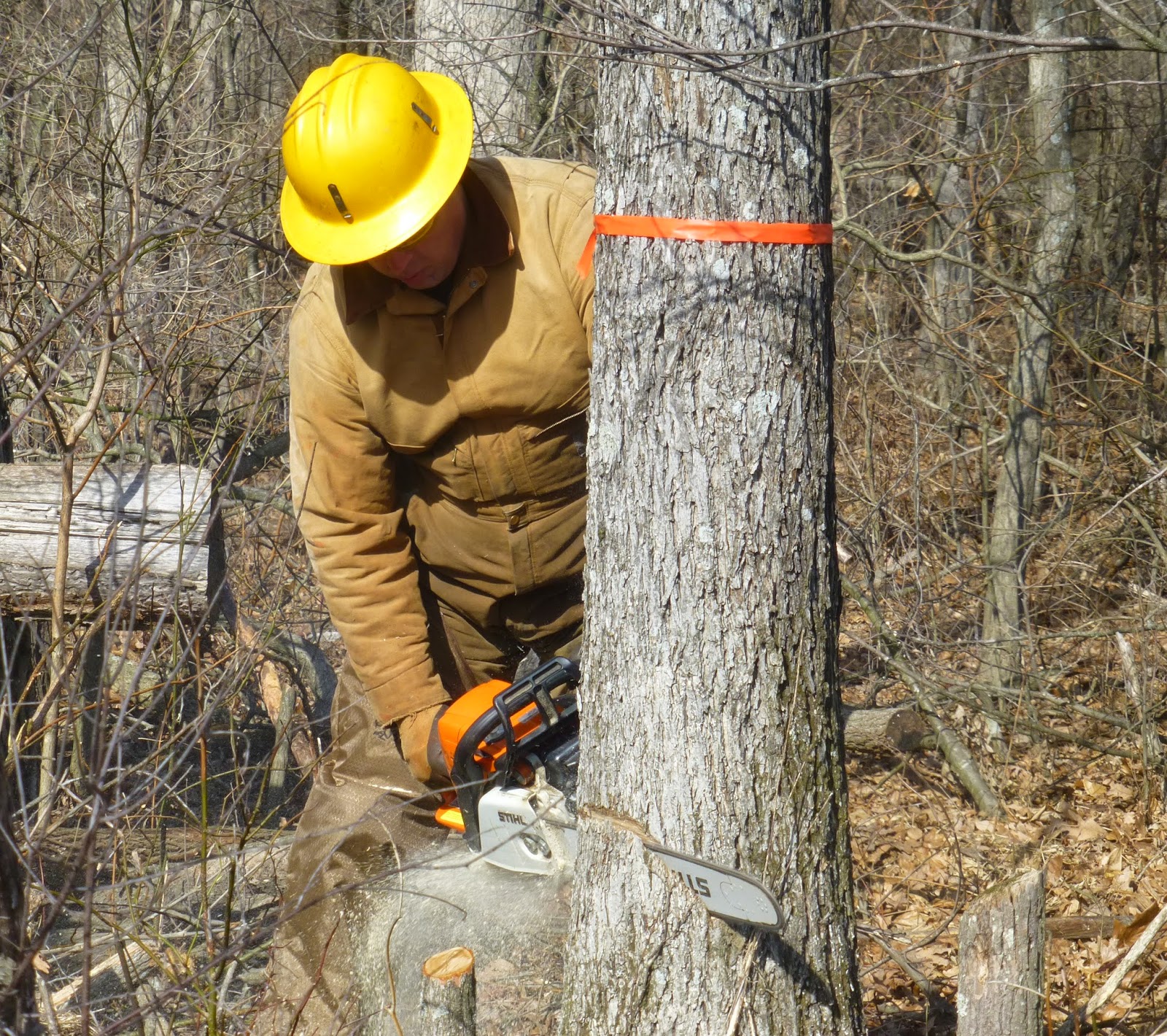 True Blue Sam the Travelin' Man Chainsaw Training Opportunity In