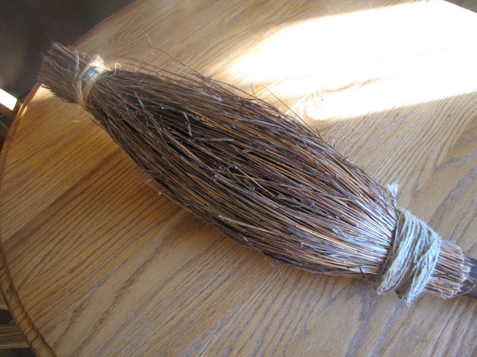 Julie's Exhausting Adventure Home Made Harry Potter Broom