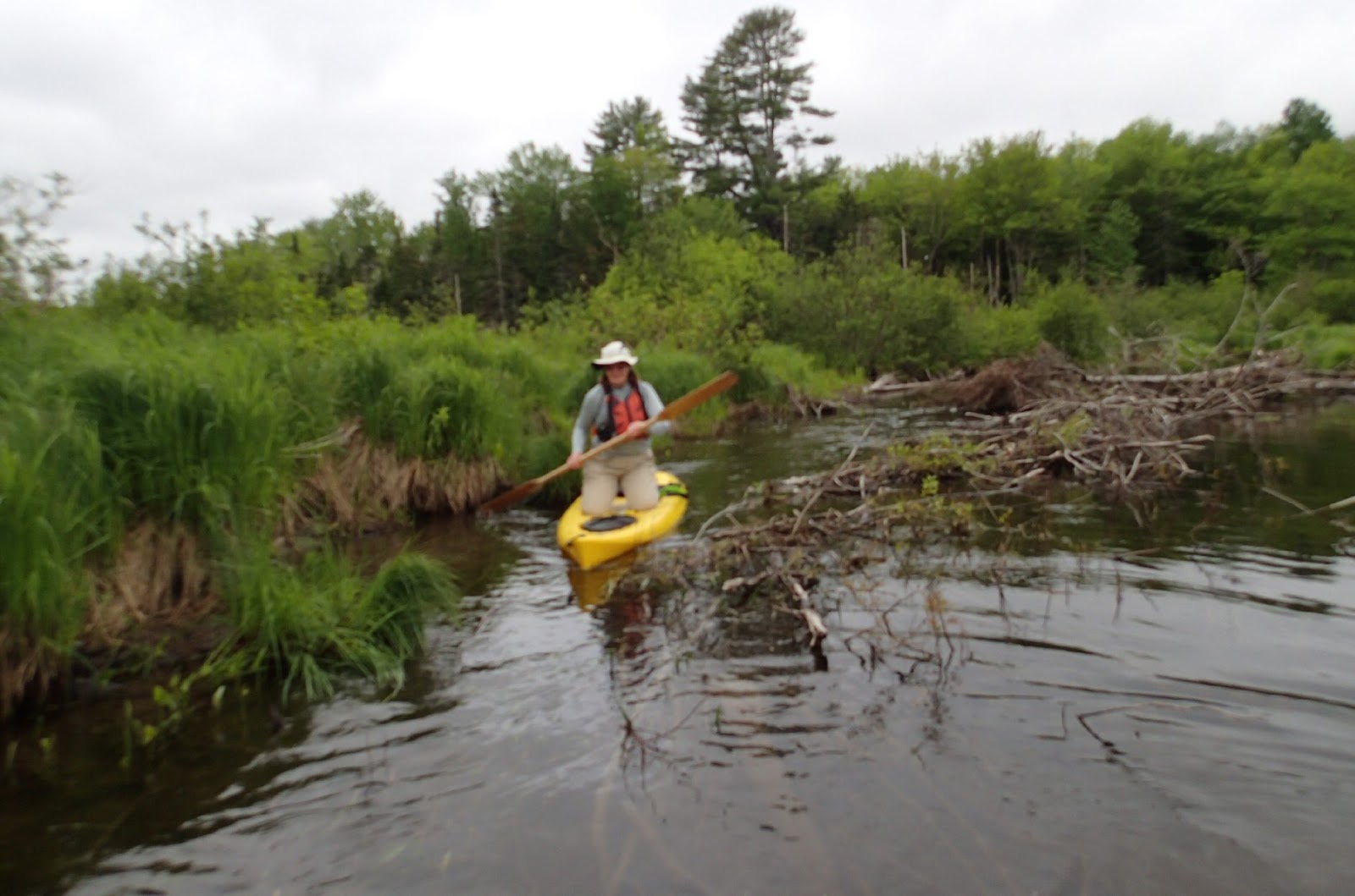 PenobscotPaddles Moosehorn to Hot Hole Pond, a Nalu Test